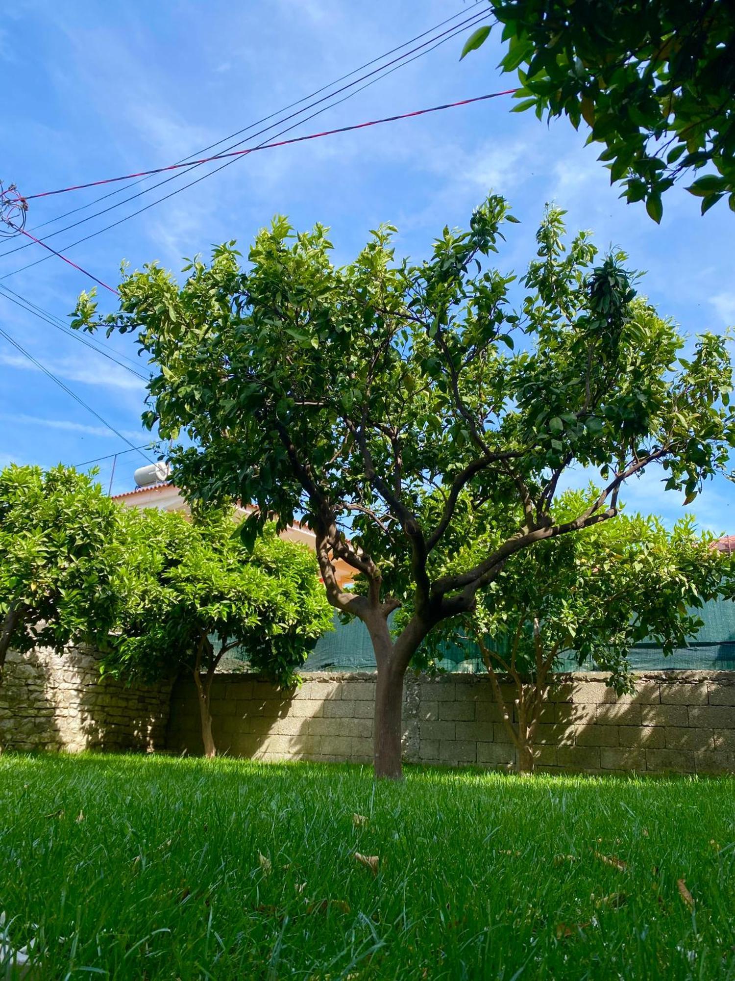 Villa Berat Exteriér fotografie